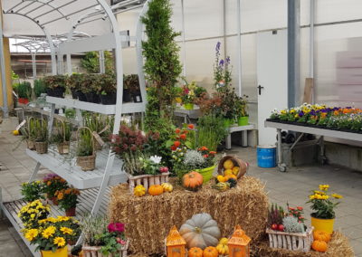 arrangements floraux et bouquets automne