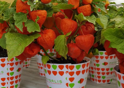 arrangements floraux et bouquets automne