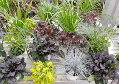arrangements floraux et bouquets automne
