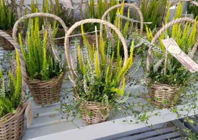 arrangements floraux et bouquets automne