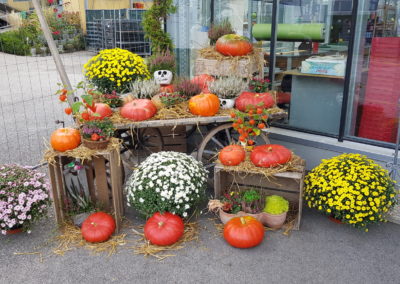 arrangements floraux et bouquets automne